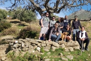 Marrakech : Excursion d'une journée dans les montagnes de l'Atlas et dîner au désert d'Agfay