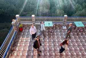 Marrakech : Excursion d'une journée dans les montagnes de l'Atlas et dîner au désert d'Agfay