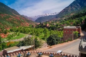 Marrakech: Atlasbergen och Ourikadalen - resa med lunch