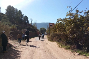 Marrakech: Atlas Mountains Horse Riding Day Trip