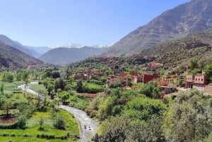 Marrakech: Atlasgebirge, Ourika-Tal, Reiseführer & Mittagessen