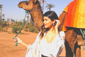 Marrakech: Atlas Mountains, Ourika Valley, lunch& Camel Ride