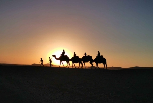 Marrakech: Atlas Mountains, Ourika Valley, lunch& Camel Ride