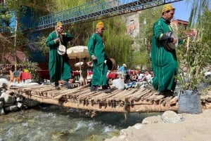 Marrakech: Dagtrip naar Atlasgebergte Ourika waterval