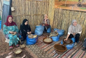 Marrakech: Dagtrip naar Atlasgebergte Ourika waterval