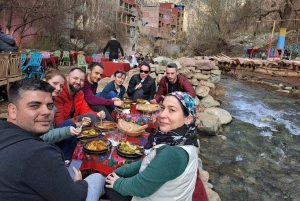 Marrakech: Dagtrip naar Atlasgebergte Ourika waterval