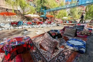 Marrakech: Atlas Mountains, Ourika Valley, Waterfall & Guide