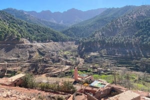 Marrakech: Atlas Mountains, Ourika Valley, Waterfall & Guide