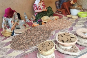 Marrakech: Atlas Mountains, Ourika Valley, Waterfall & Guide