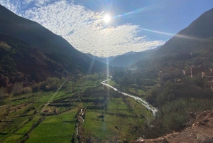 Marrakech: Atlas Mountains, Ourika Valley, Waterfall & Guide