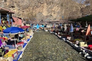 Marrakech: Atlas Mountains, Ourika Valley, Waterfall & Guide