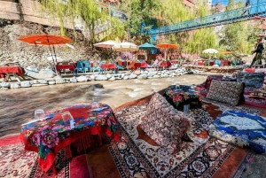 Marrakech: Atlas Mountains, Ourika Valley, Waterfall & Guide