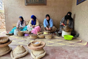 Marrakech: Atlas Mountains, Ourika Valley, Waterfall & Guide