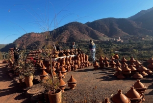 Marrakech: Atlas Mountains, Ourika Valley, Waterfall & Guide