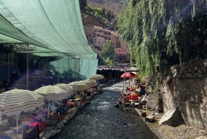 Marrakech: Atlasgebergte, Ourika vallei, waterval & lunch