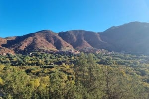 Marrakech : Montagnes de l'Atlas, vallée de l'Ourika, cascade et déjeuner
