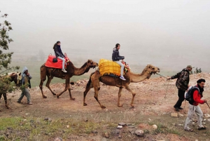 Marrakeschs Atlas-Abenteuer Ourika-Tal & herzhaftes Mittagessen