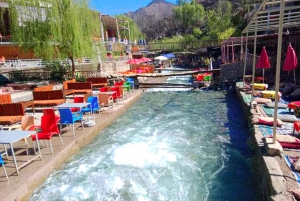 Marrakech: Atlas Mountains, Ourika Valley, Waterfall & Lunch