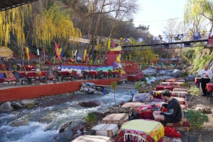 Marrakech: Atlas Mountains, Ourika Valley, Waterfall & Lunch