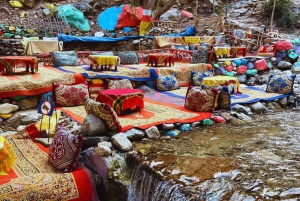 Marrakech: Atlas Mountains, Ourika Valley, Waterfall & Lunch