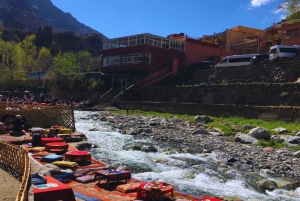 Marrakech: Atlas Mountains, Ourika Valley, Waterfall & Lunch