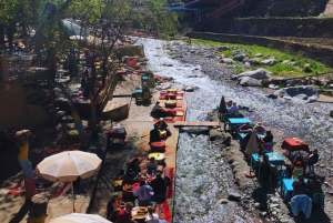 Marrakech: Atlas Mountains, Ourika Valley, Waterfall & Lunch