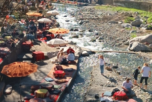 Marrakech: Atlas Mountains, Ourika Valley, Waterfall & Lunch