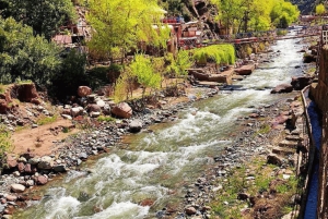 Marrakech: Atlas Mountains, Ourika Valley, Waterfall & Lunch