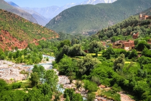 Marrakech: Atlas Mountains, Ourika Valley, Waterfall & Lunch