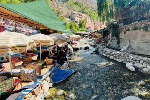 Marrakech: Atlas Mountains, Ourika Valley, Waterfall & Lunch