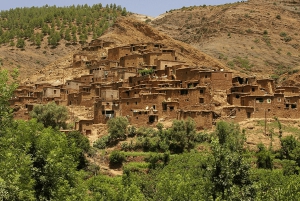 Marrakech: Atlas Mountains, Ourika Valley, Waterfall & Lunch