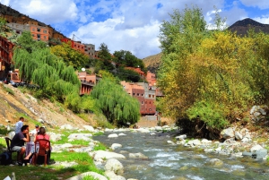 Marrakech: Atlas Mountains, Ourika Valley, Waterfall & Lunch