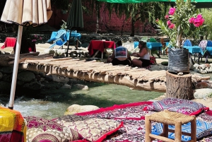 Marrakech: Atlas Mountains, Ourika Valley, Waterfall & Lunch