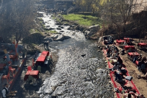 Marrakech: Atlas Mountains, Ourika Valley, Waterfall & Lunch