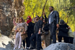 Marrakech: Atlas Mountains, Ourika Valley, Waterfall & Lunch