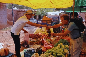 Marrakech: Atlas Mountains, Ourika Valley, Waterfall & Lunch