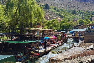 Marrakech: Atlas Mountains, Ourika Valley, Waterfall & Lunch
