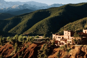Marrakech: Atlas Mountains, Ourika Valley, Waterfall & Lunch