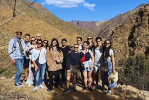 Marrakech: Atlas Mountains, Ourika Valley, Waterfall & Lunch