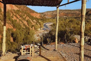 Marrakech: Atlas Mountains, Ourika Valley, Waterfall & Lunch