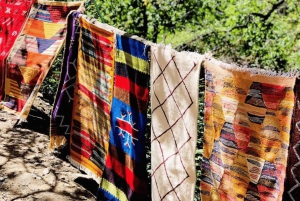 Marrakech: Atlas Mountains, Ourika Valley, Waterfall & Lunch