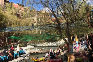 Marrakech: Atlas Mountains, Ourika Valley, Waterfall & Lunch