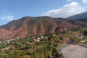 Marrakech: Atlas Mountains, Ourika Valley, Waterfall & Lunch