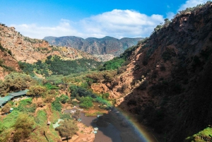 Marrakech: Atlas Mountains, Ourika Valley, Waterfall & Lunch