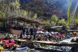 Marrakech:Atlas Mountains, Ourika Waterfall with Guide+Lunch