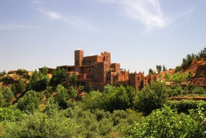 Marrakech : Montagnes de l'Atlas, cascade de l'Ourika avec guide+déjeuner