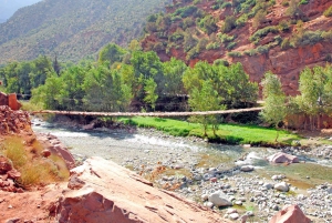 Marrakech : Montagnes de l'Atlas, cascade de l'Ourika avec guide+déjeuner