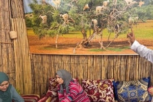 Marrakech : montagnes de l'Atlas, cascades, vallée de l'Ourika + déjeuner