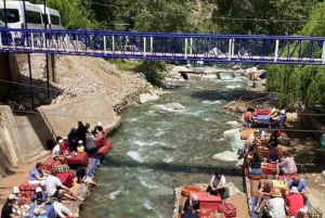 Marrakech : montagnes de l'Atlas, cascades, vallée de l'Ourika + déjeuner