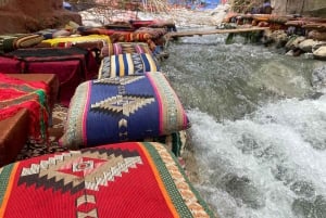 Marrakech : montagnes de l'Atlas, cascades, vallée de l'Ourika + déjeuner